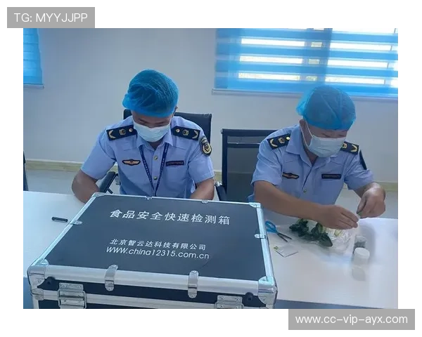 云达防线高压下可能暴露漏洞——破解安全屏障的隐忧与救赎 云达防线高压下可能暴露漏洞——破解安全屏障的隐忧与救赎