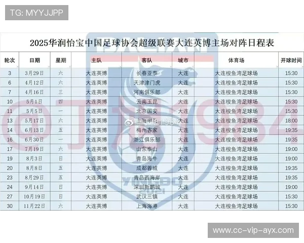 大连英博阵容调整，力争保级成功